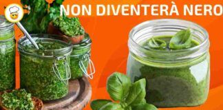 Il pesto di basilico diventa nero Ecco il semplice motivo!