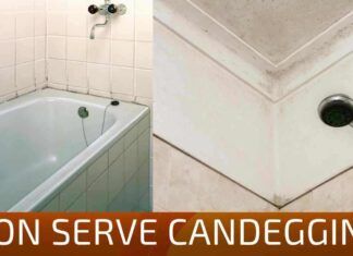 La muffa dalla doccia andrà via senza candeggina ecco il mio segreto