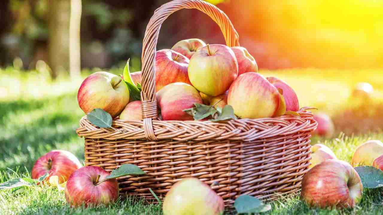 No todas las manzanas son iguales |  El que contiene la menor cantidad de calorías es adecuado para usted