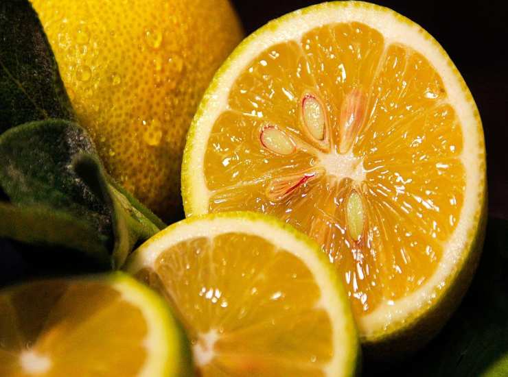 Limone 06052023 ricettasprint