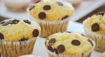 Muffin robiola e cioccolato| soffici e gustosi| il risveglio da leoni che tutti aspettano!
