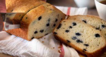Plumcake ai mirtilli soffice| e pronto subito| il peccato di gola con poche calorie