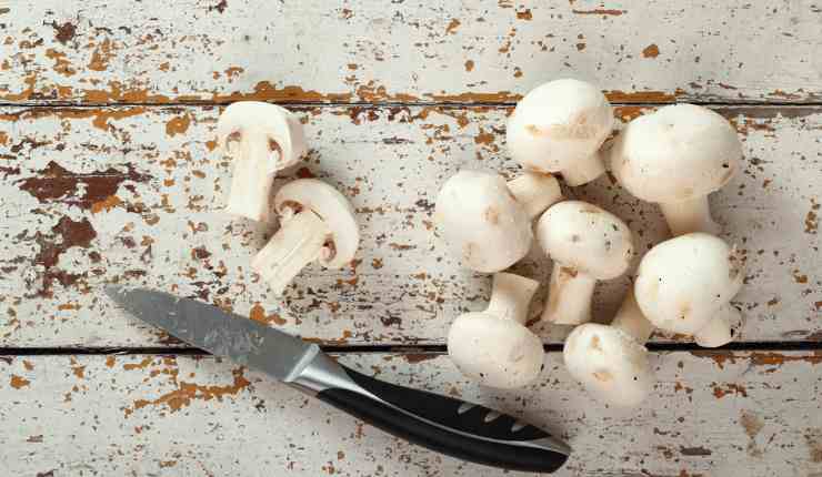 Torta ricotta e funghi cremosa al centro e croccante ai bordi pura bontà per il palato Ricettasprint