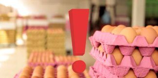 Quali sono le uova migliori da comprare?