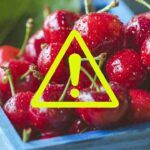 Come eliminare i pesticidi dalle ciliegie