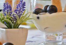 Crema di ricotta e yogurt, una delizia piacevole da gustare al cucchiaio Crema di ricotta e yogurt 02062023 ricettasprint