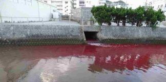 Fiume rosso sangue a Okinawa, il motivo