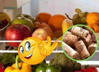 A cosa serve mettere dei tappi di sughero nel frigo