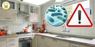 Il ricettacolo di batteri nella tua cucina la scoperta di sconvolgerà