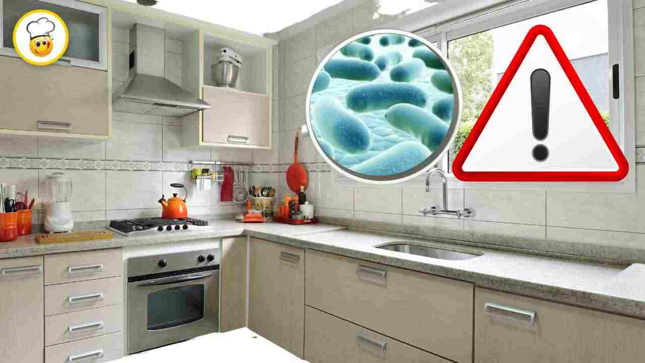 Il ricettacolo di batteri nella tua cucina la scoperta di sconvolgerà