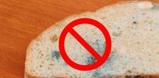 Come evitare la muffa sul pane