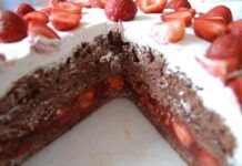 Torta di albumi acqua e cacao, aggiungiamo le fragole e la panna e sarà un capolavoro esplosivo di sapori Torta di albumi acqua e cacao 12062023 ricettasprint