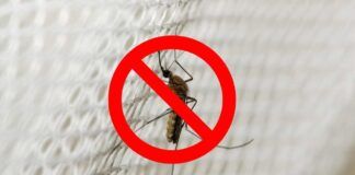 Come eliminare le zanzare con un metodo a costo zero