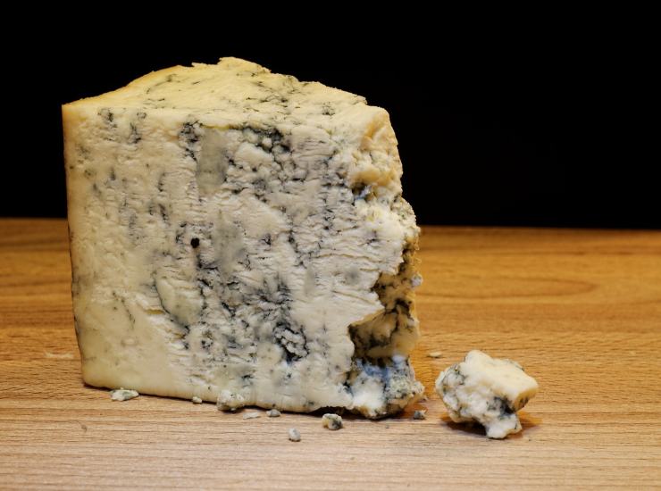 gorgonzola 26062023 ricettasprint