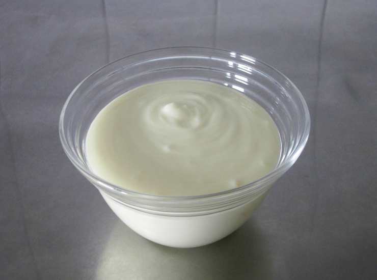 yogurt 02062023 ricettasprint