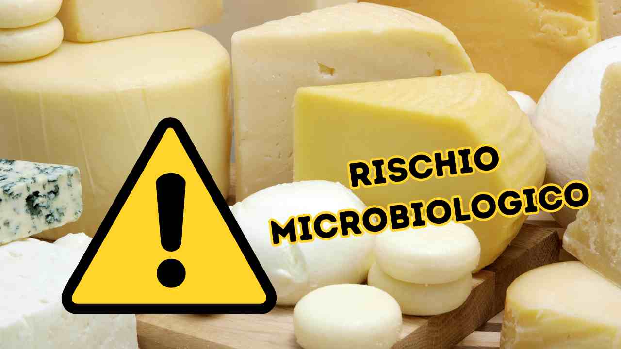 Rischio microbiologico per un formaggio sottoposto a richiamo alimentare