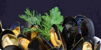 Impepata di cozze