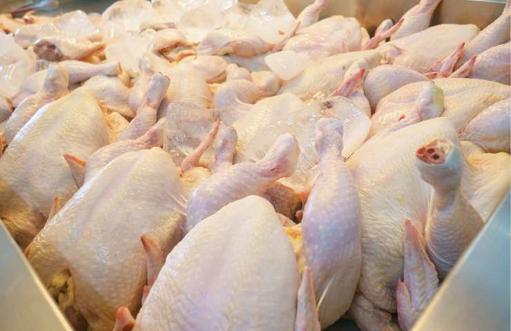 Come si capisce se la carne di pollo è buona oppure no