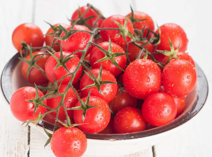 Friselle al pomodoro come le fanno in Puglia, la ricetta ti sconvolgerà. Foto di Ricetta Sprint