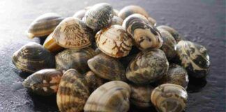 Gli errori da non fare nel pulire le vongole