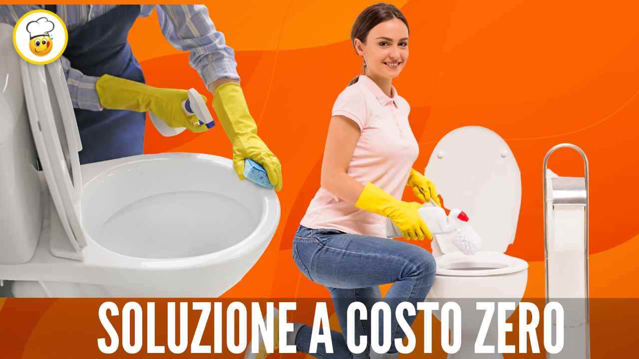 Wc ingiallito e macchie ostinate? Arriva la soluzione a costo zero che ti  risolverà il problema 