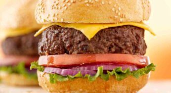 Big burger americano, meat, onion, tomato, cheese, lattuga, cucumber, servilo a cena con la patatine, fai felici tutti