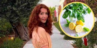Carlotta Perego limoni con crema - RicettaSprint