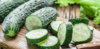 Cetrioli come conservarli e utilizzarli in cucina, fino ad ora non ci hai mai pensato