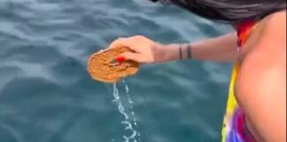 Cibo condito con acqua si mare allarme - RicettaSprint