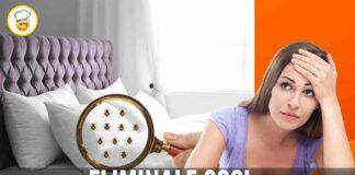 Cimici in camera da letto Puoi dire addio una volta e per tutte, ecco come fare!