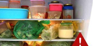 Conservazione degli alimenti: gli errori più comuni che fai che potrebbe rovinare tutto
