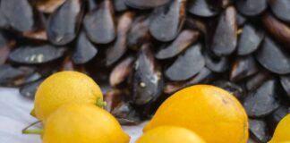 Limoni sui frutti di mare, serve anche a disinfettarli?