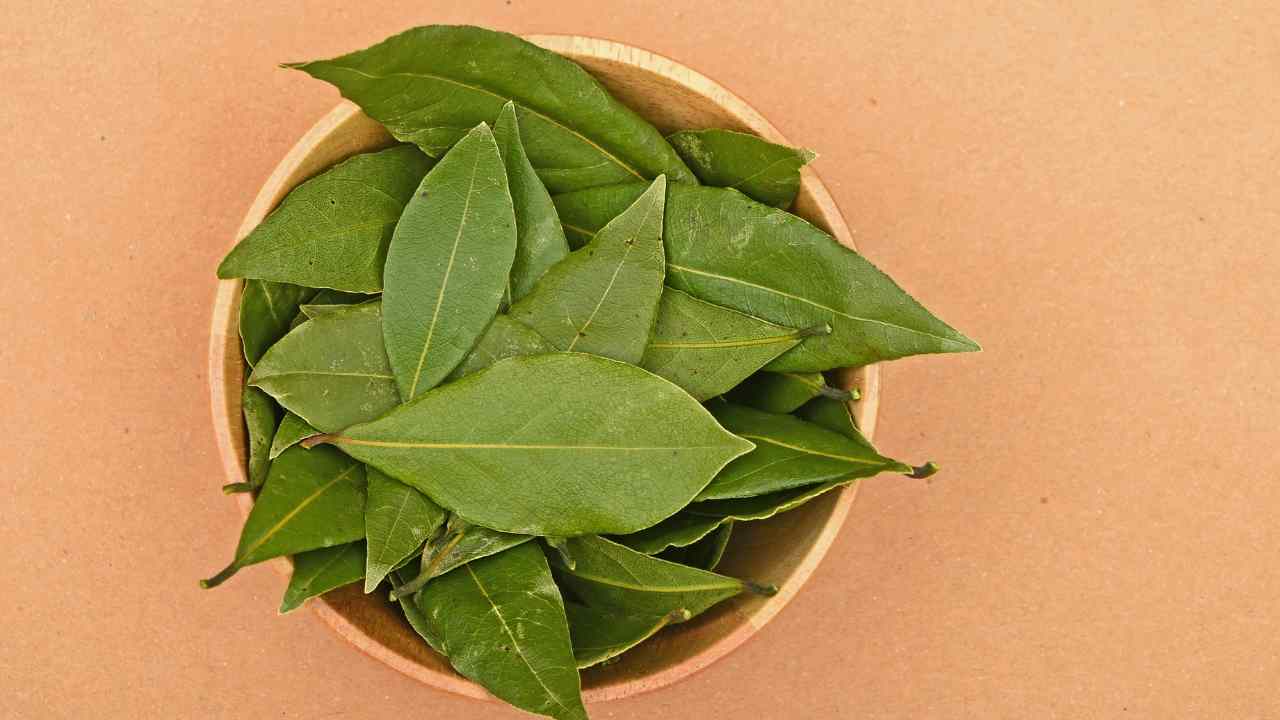 Come fare profumare la casa con le foglie di alloro