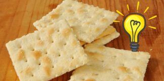 Hai troppi grissini e crackers in dispensa I consigli per utilizzarli al meglio, tutto quello che nessuno ti ha mai detto