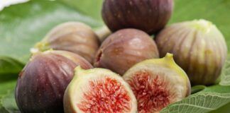Mangiare fichi conseguenze - RicettaSprint