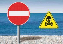 Allarme mare contaminato vietato il consumo di pesce
