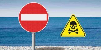 Allarme mare contaminato vietato il consumo di pesce