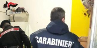 Carabinieri NAS in azione per un ingente carico di cibo scaduto sequestrato