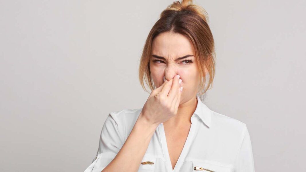 Sentire Odore Di Bruciato Nel Naso Odore di bruciato in cucina? Nessun problema, ecco come fare, in pochi