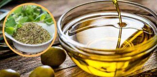 Olio e origano rimedio naturale - RicettaSprint