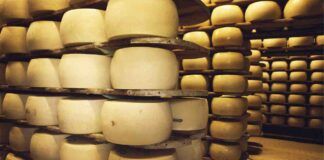 Parmigiano Reggiano falso, lo si combatte con i microchip