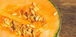 Semi del melone - RicettaSprint