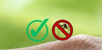 Trappola anti zanzare a costo zero ed in un istante