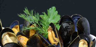 cozze