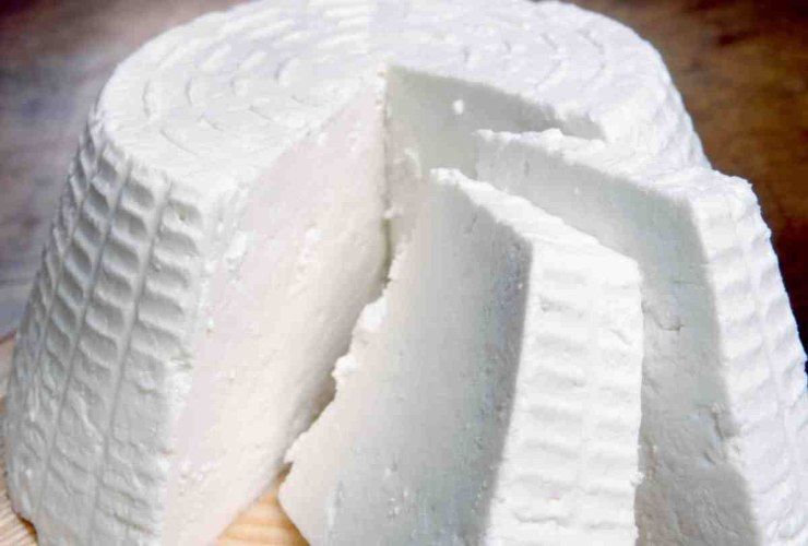 ricotta 29082023 ricettasprint