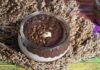 Mousse bigusto al cioccolato 23092023 ricettasprint