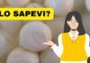 Mozzarella di bufala le cose non vere che le riguardano