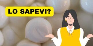 Mozzarella di bufala le cose non vere che le riguardano