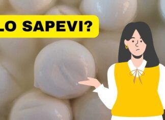 Mozzarella di bufala le cose non vere che le riguardano