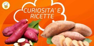 Patate dolci curiosità e ricette da non perdere, così puoi diversificare in cucina